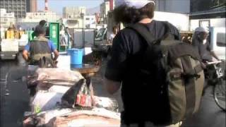 MANIC ASIA -- TSUKIJI MARKET, TOKYO -- Chasing a Wagon of Tuna Heads