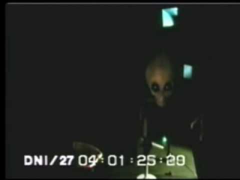 Alien Interrogation