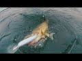 Why Do We Fish Search Rapala Fishing Lures Why Do We Fish Search Rapala Fishing Lures