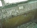nuovo video 81 gruppo