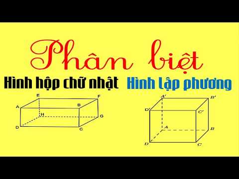 Toán lớp 5 - Phân Biệt Hình Hộp chữ nhật và Hình lập phương