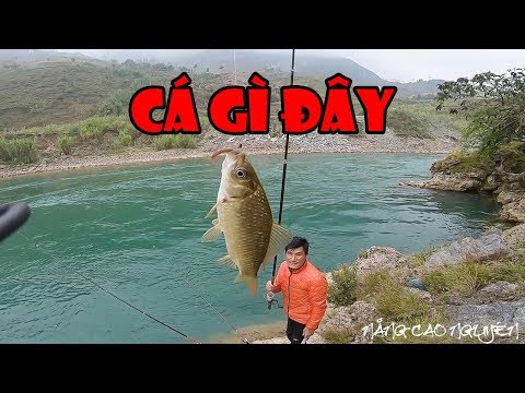 CÂU CÁ Ở SÔNG NHO QUẾ | KHÁM PHÁ CÙNG NCN