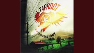 Watch Taproot Hand That Holds True video