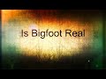BigFoot