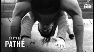 7wBieBl3Y20 Video Image
