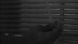 Watch Stephen Lynch Halloween video