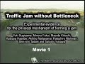 Traffic Jam without bottleneck - experimental evidence