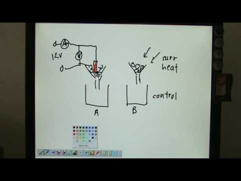 Specific Latent Heat of Fusion & Vaporisation Lecture 1