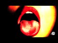 STEREO PALMA - Lick It
