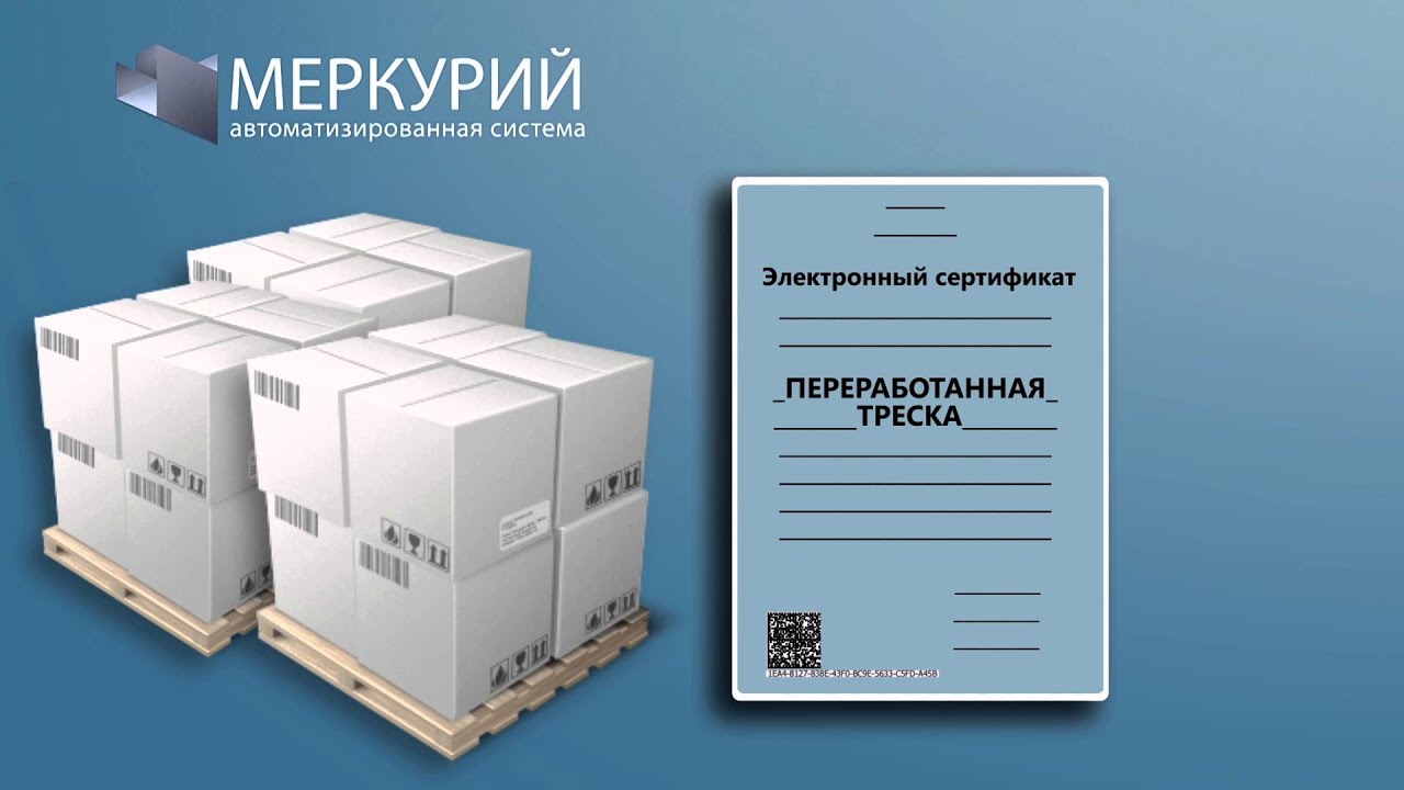 Новая электронная система «Меркурий» — сертификация продукции животного происхождения Новая электронная система «Меркурий» — сертификация продукции животного происхождения