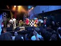 'This one's for Viv', British Sea Power - The Great Skua @ Stockton