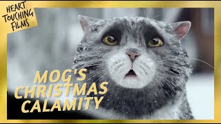Mogs Christmas Calamity This Animation Will Warm Your Heart