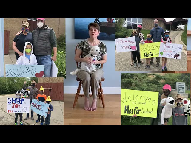 Children's Ministry Videos