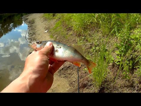 микроджиг в марте видео микроджиг в марте видео