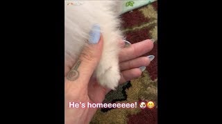 Jeffree Star Gets His 6Th Dog Snapchat Story
