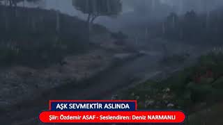 AŞK SEVMEKTİR ASLINDA - ÖZDEMİR ASAF