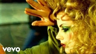 Watch Genesis Shipwrecked video