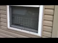 Stink Bug infestation 2012 Morgantown West Virginia