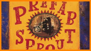 Watch Prefab Sprout Life Of Surprises video