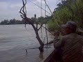 image Teknik Mancing Udang Gala