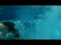 Underwater Pool Video