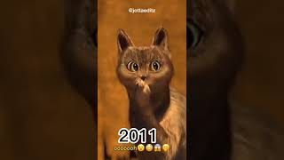 Gato Sorprendido 2011-2022