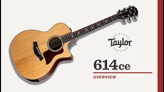 Taylor Guitars | 614ce | Video Overview