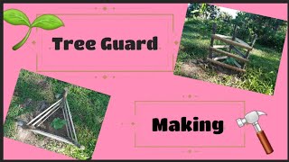 Week 3 Sapling Update Ft. Tree Guard Making Alvarez