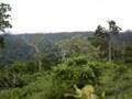 PNG on the border