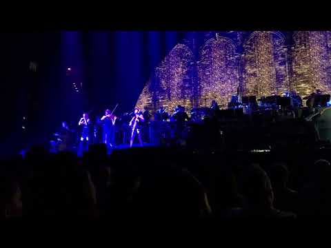 San Diego Video