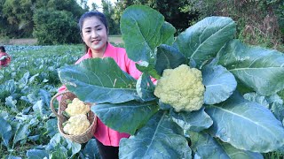 Play this video Cauliflower season is coming again in my village  Yummy cauliflower recipe  Cooking with Sreypov