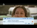 mpeg4