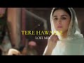 Tere Hawaale (Lofi Mix) | Arijit Singh | @DJAnk