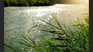 Taizé Healing service - October 29, 2020 - St. Hugh, Elgin, IL