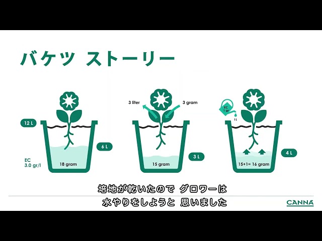 Watch (日本/Japanese) CANNA Webiner EC (日本語) on YouTube.