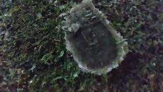Inicio Da Neve Na Serra Já Com Pegadas - Parte 2