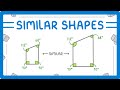 GCSE Maths - Similar Shapes  #104