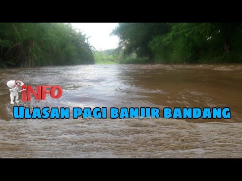 Ulasan pagi banjir bandang !!@MbahLompong