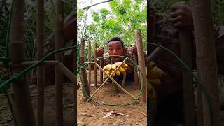 Trap, Stick To Monkeys