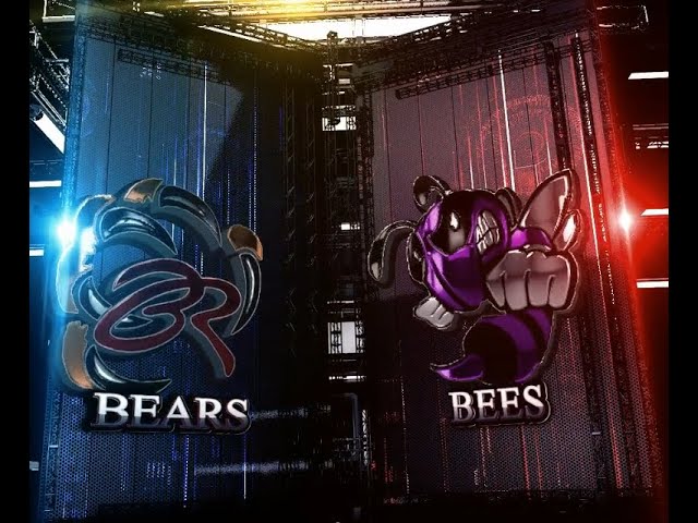 BR vs BEHS