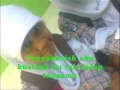 Wali Langit Bumi Lirik Nizar Zulmi images Wali Langit Bumi Lirik Nizar Zulmi