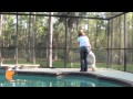 florida dog trainer