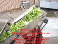 QX-42 vegetable fruit washing, drying dehydration machine line, ozone food production line
