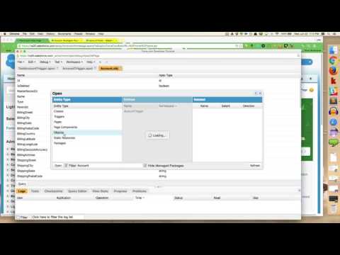 Apex Workshop Webinar 1: Developer Console