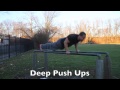 24 Parallel Bar Exercises For You To Try!