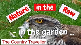 Nature in the Raw - in the garden - sustaining the food chain