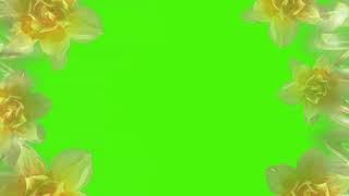 Футаж Рамка Цветочная На Зеленом
