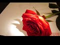 MENSAGENS DE AMOR E CARINHO