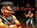 Art Of Fighting - Mr Karate Gameplay