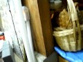 Water Removal From House in San Diego- www.prs24-7.com- 619-699-0130